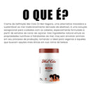 Kit Mel Cola 1kg + Ativador Mel Natural 500ml