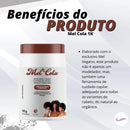 Kit Mel Cola 1kg + Ativador Mel Natural 500ml